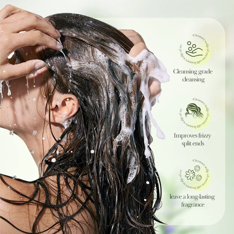Volumizing Rosemary Anti-Dandruff & Oil Control Shampoo (500ml / 17.6 fl. oz) – Fluffy Hair, Anti-Itch & Scalp Soothing Cleanser