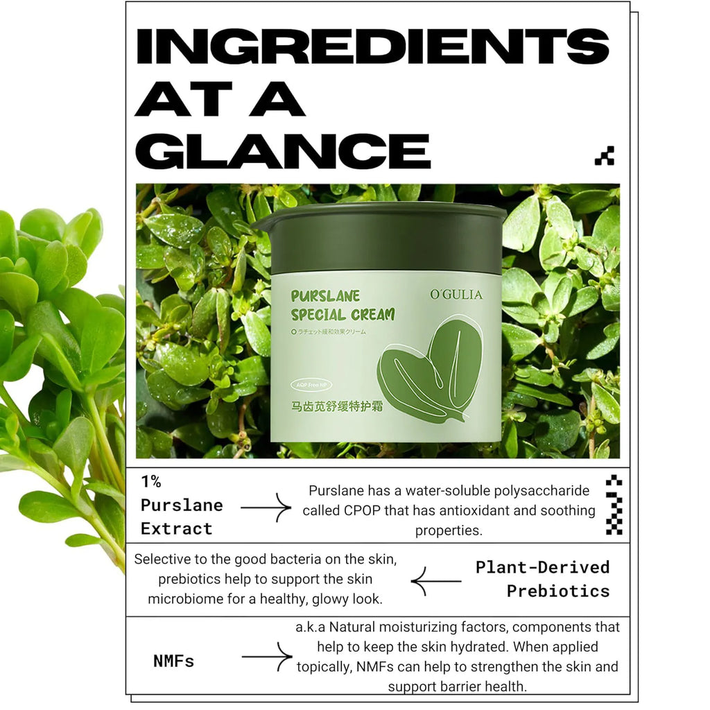 O'GULIA Purslane Special Cream (55 g)