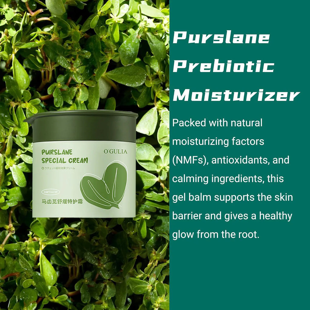 O'GULIA Purslane Special Cream (55 g)