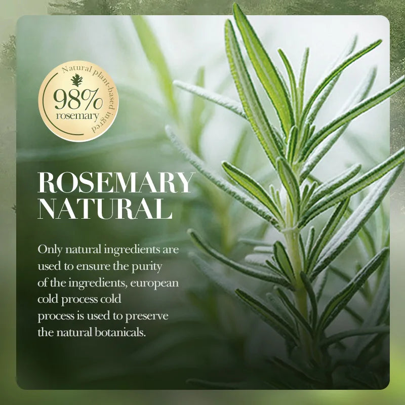 Volumizing Rosemary Anti-Dandruff & Oil Control Shampoo (500ml / 17.6 fl. oz) – Fluffy Hair, Anti-Itch & Scalp Soothing Cleanser